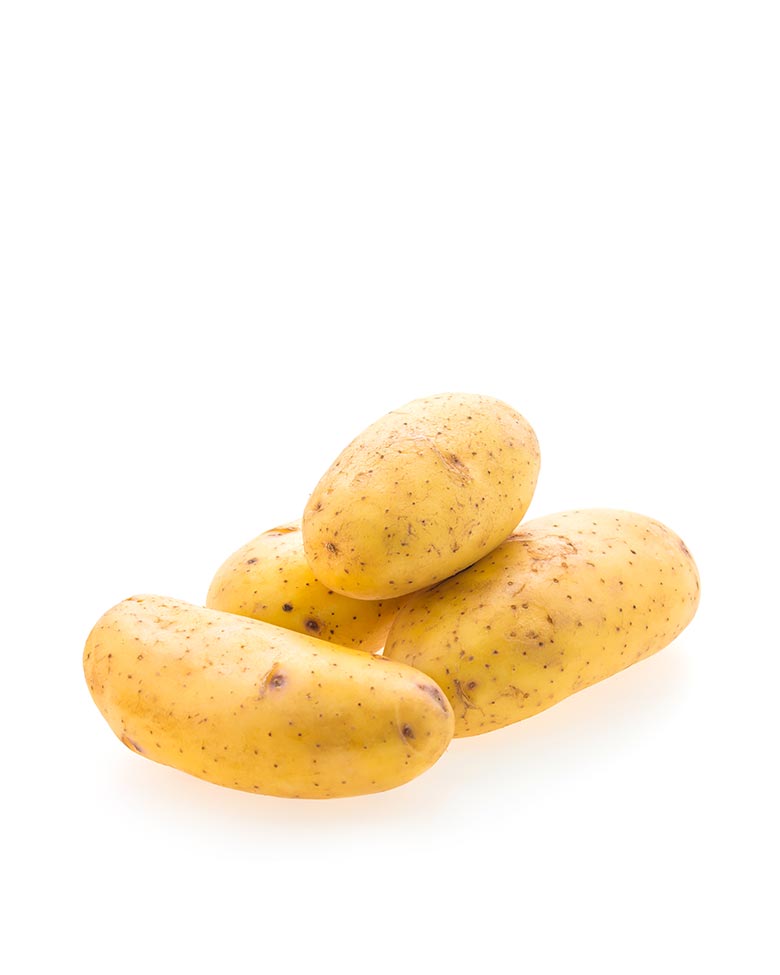 ecofood-product-14