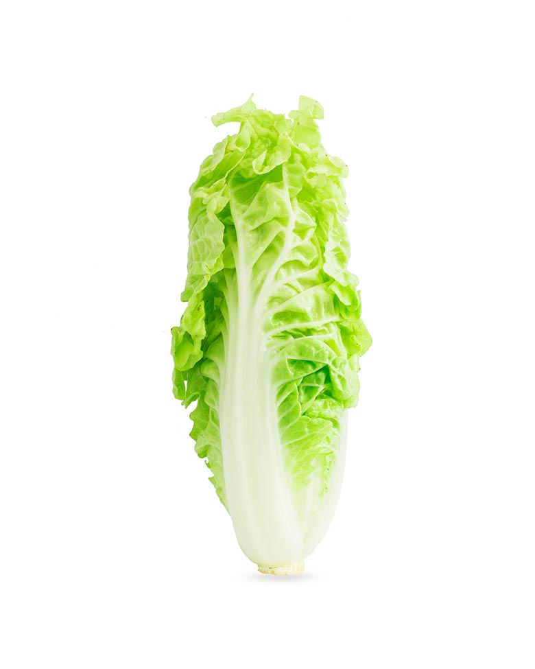 ecofood-product-15
