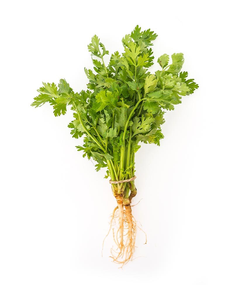 ecofood-product-16